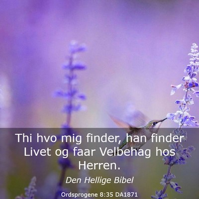 Picture 03 - Ordsprogene 8:35 DA1871 - Thi hvo mig finder, han finder Livet og faar - Bible Verse Picture