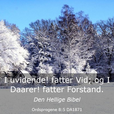 Picture 03 - Ordsprogene 8:5 DA1871 - I uvidende! fatter Vid; og I Daarer! fatter - Bible Verse Picture