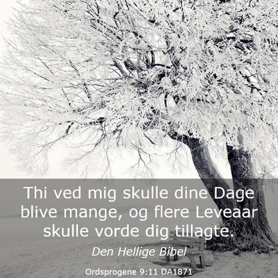 Picture 03 - Ordsprogene 9:11 DA1871 - Thi ved mig skulle dine Dage blive mange, og - Bible Verse Picture