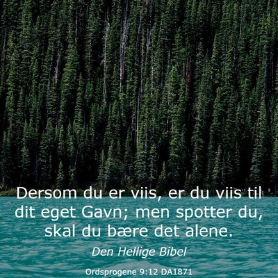 Picture 03 - Ordsprogene 9:12 DA1871 - Dersom du er viis, er du viis til dit eget Gavn; - Bible Verse Picture