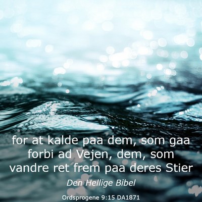 Picture 03 - Ordsprogene 9:15 DA1871 - for at kalde paa dem, som gaa forbi ad Vejen, - Bible Verse Picture