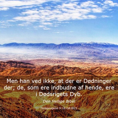 Picture 03 - Ordsprogene 9:18 DA1871 - Men han ved ikke, at der er Dødninger der; de, - Bible Verse Picture
