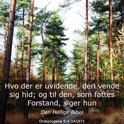 Picture 03 - Ordsprogene 9:4 DA1871 - Hvo der er uvidende, den vende sig hid; og til - Bible Verse Picture