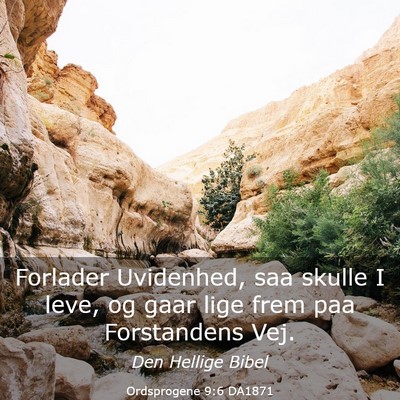 Picture 03 - Ordsprogene 9:6 DA1871 - Forlader Uvidenhed, saa skulle I leve, og gaar - Bible Verse Picture