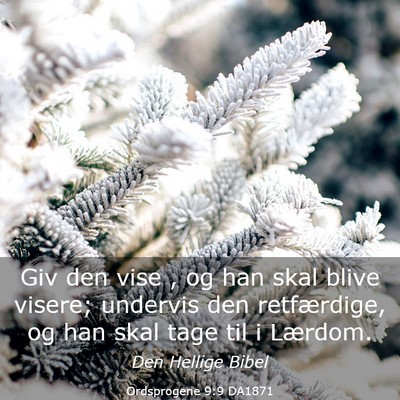 Picture 03 - Ordsprogene 9:9 DA1871 - Giv den vise , og han skal blive visere; undervis - Bible Verse Picture