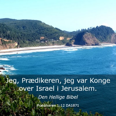 Picture 03 - Prædikeren 1:12 DA1871 - Jeg, Prædikeren, jeg var Konge over Israel i - Bible Verse Picture