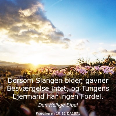 Picture 03 - Prædikeren 10:11 DA1871 - Dersom Slangen bider, gavner Besværgelse intet, - Bible Verse Picture