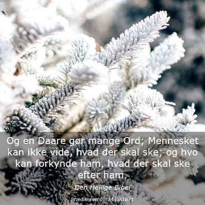 Picture 03 - Prædikeren 10:14 DA1871 - Og en Daare gør mange Ord; Mennesket kan ikke - Bible Verse Picture
