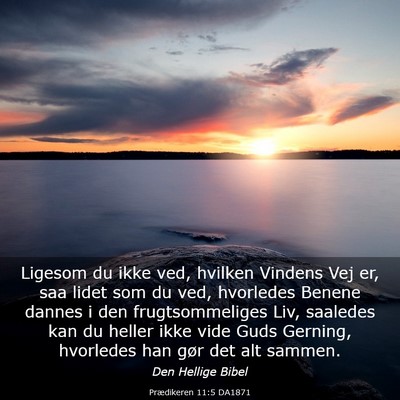 Picture 03 - Prædikeren 11:5 DA1871 - Ligesom du ikke ved, hvilken Vindens Vej er, saa - Bible Verse Picture