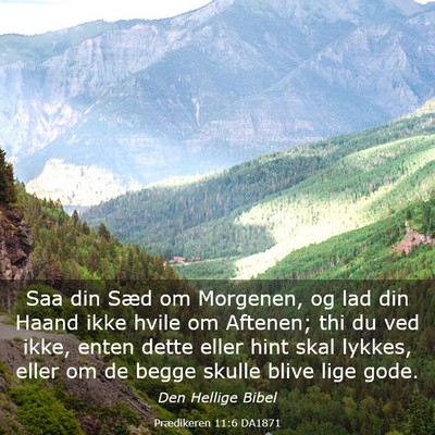 Picture 03 - Prædikeren 11:6 DA1871 - Saa din Sæd om Morgenen, og lad din Haand ikke - Bible Verse Picture
