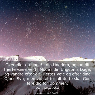 Picture 03 - Prædikeren 11:9 DA1871 - Glæd dig, du unge! i din Ungdom, og lad dit - Bible Verse Picture