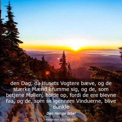 Picture 03 - Prædikeren 12:3 DA1871 - den Dag, da Husets Vogtere bæve, og de stærke - Bible Verse Picture
