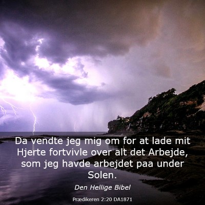 Picture 03 - Prædikeren 2:20 DA1871 - Da vendte jeg mig om for at lade mit Hjerte - Bible Verse Picture