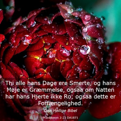 Picture 03 - Prædikeren 2:23 DA1871 - Thi alle hans Dage ere Smerte, og hans Møje er - Bible Verse Picture
