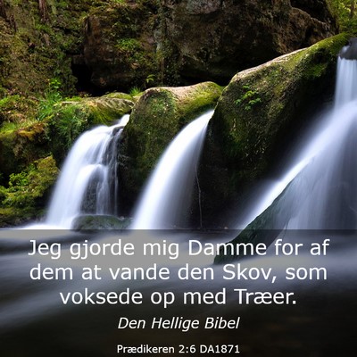 Picture 03 - Prædikeren 2:6 DA1871 - Jeg gjorde mig Damme for af dem at vande den - Bible Verse Picture