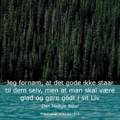 Picture 03 - Prædikeren 3:12 DA1871 - Jeg fornam, at det gode ikke staar til dem selv, - Bible Verse Picture