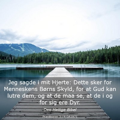 Picture 03 - Prædikeren 3:18 DA1871 - Jeg sagde i mit Hjerte: Dette sker for Menneskens - Bible Verse Picture
