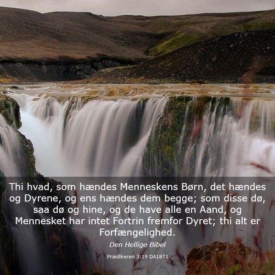 Picture 03 - Prædikeren 3:19 DA1871 - Thi hvad, som hændes Menneskens Børn, det - Bible Verse Picture