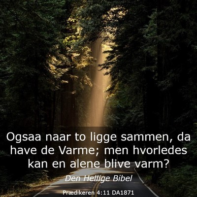 Picture 03 - Prædikeren 4:11 DA1871 - Ogsaa naar to ligge sammen, da have de Varme; men - Bible Verse Picture