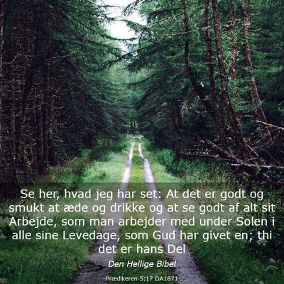 Picture 03 - Prædikeren 5:17 DA1871 - Se her, hvad jeg har set: At det er godt og smukt - Bible Verse Picture