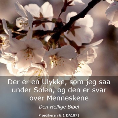 Picture 03 - Prædikeren 6:1 DA1871 - Der er en Ulykke, som jeg saa under Solen, og den - Bible Verse Picture