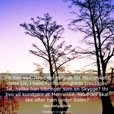 Picture 03 - Prædikeren 6:12 DA1871 - Thi hvo ved, hvad der er godt for Mennesket i - Bible Verse Picture