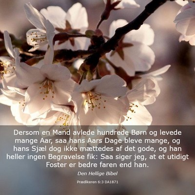 Picture 03 - Prædikeren 6:3 DA1871 - Dersom en Mand avlede hundrede Børn og levede - Bible Verse Picture