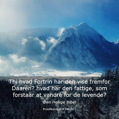 Picture 03 - Prædikeren 6:8 DA1871 - Thi hvad Fortrin har den vise fremfor Daaren? - Bible Verse Picture