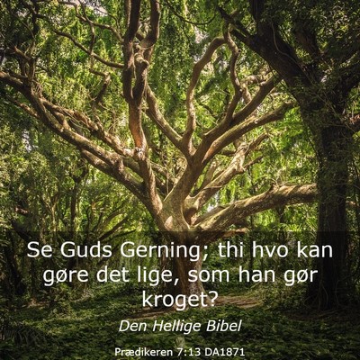 Picture 03 - Prædikeren 7:13 DA1871 - Se Guds Gerning; thi hvo kan gøre det lige, som - Bible Verse Picture