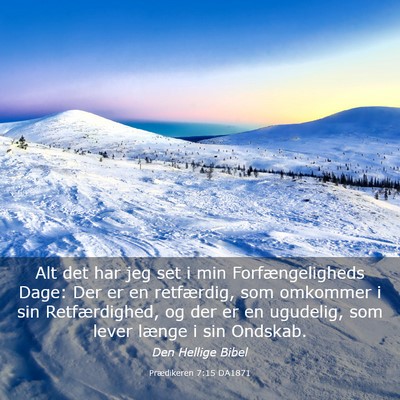 Picture 03 - Prædikeren 7:15 DA1871 - Alt det har jeg set i min Forfængeligheds Dage: - Bible Verse Picture
