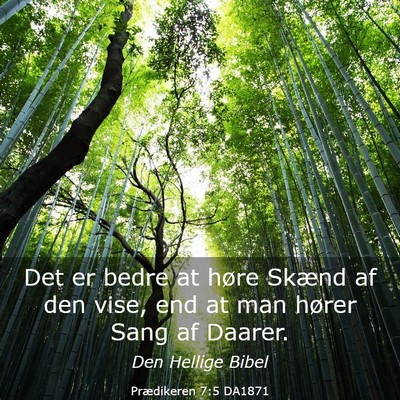 Picture 03 - Prædikeren 7:5 DA1871 - Det er bedre at høre Skænd af den vise, end at - Bible Verse Picture