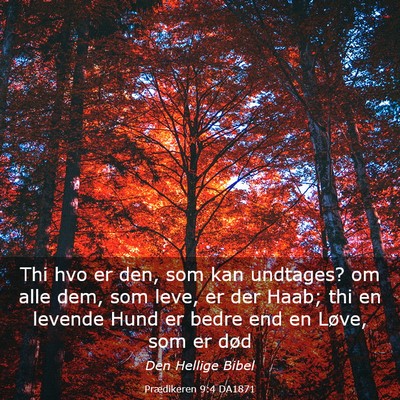 Picture 03 - Prædikeren 9:4 DA1871 - Thi hvo er den, som kan undtages? om alle dem, - Bible Verse Picture