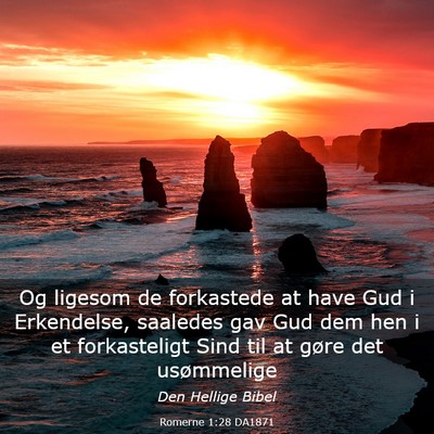 Picture 03 - Romerne 1:28 DA1871 - Og ligesom de forkastede at have Gud i - Bible Verse Picture