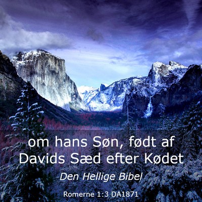 Picture 03 - Romerne 1:3 DA1871 - om hans Søn, født af Davids Sæd efter - Bible Verse Picture