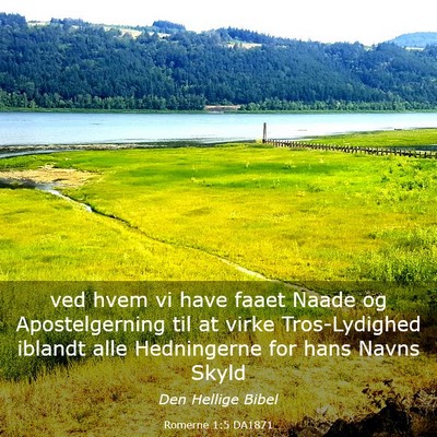 Picture 03 - Romerne 1:5 DA1871 - ved hvem vi have faaet Naade og Apostelgerning - Bible Verse Picture