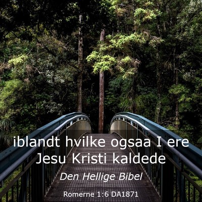 Picture 03 - Romerne 1:6 DA1871 - iblandt hvilke ogsaa I ere Jesu Kristi - Bible Verse Picture