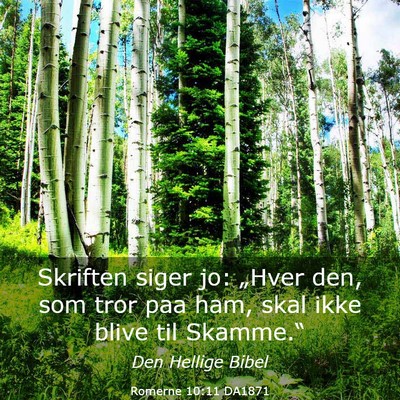 Picture 03 - Romerne 10:11 DA1871 - Skriften siger jo: „Hver den, som tror paa ham, - Bible Verse Picture