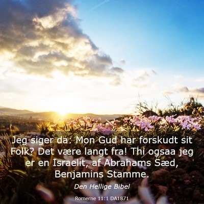 Picture 03 - Romerne 11:1 DA1871 - Jeg siger da: Mon Gud har forskudt sit Folk? Det - Bible Verse Picture