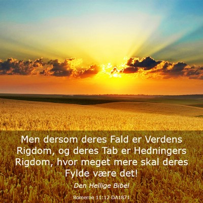 Picture 03 - Romerne 11:12 DA1871 - Men dersom deres Fald er Verdens Rigdom, og deres - Bible Verse Picture