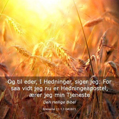 Picture 03 - Romerne 11:13 DA1871 - Og til eder, I Hedninger, siger jeg: For saa vidt - Bible Verse Picture
