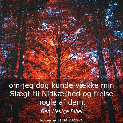 Picture 03 - Romerne 11:14 DA1871 - om jeg dog kunde vække min Slægt til Nidkærhed - Bible Verse Picture