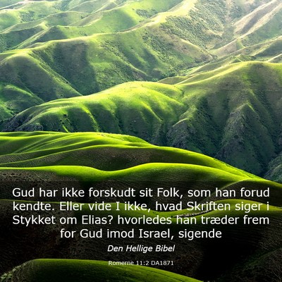 Picture 03 - Romerne 11:2 DA1871 - Gud har ikke forskudt sit Folk, som han forud - Bible Verse Picture