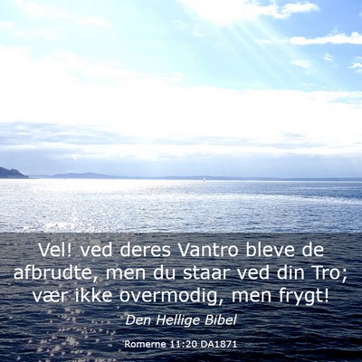 Picture 03 - Romerne 11:20 DA1871 - Vel! ved deres Vantro bleve de afbrudte, men du - Bible Verse Picture