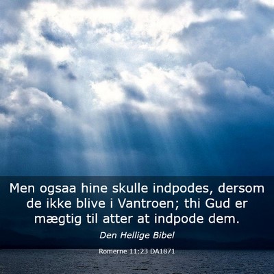 Picture 03 - Romerne 11:23 DA1871 - Men ogsaa hine skulle indpodes, dersom de ikke - Bible Verse Picture