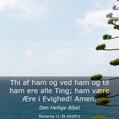 Picture 03 - Romerne 11:36 DA1871 - Thi af ham og ved ham og til ham ere alle Ting; - Bible Verse Picture