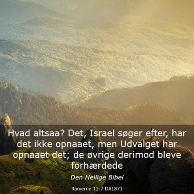 Picture 03 - Romerne 11:7 DA1871 - Hvad altsaa? Det, Israel søger efter, har det - Bible Verse Picture