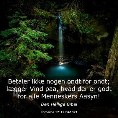 Picture 03 - Romerne 12:17 DA1871 - Betaler ikke nogen ondt for ondt; lægger Vind - Bible Verse Picture