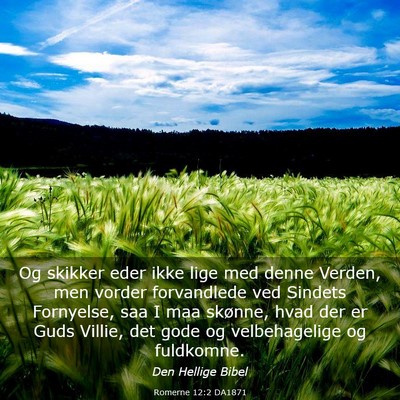 Picture 03 - Romerne 12:2 DA1871 - Og skikker eder ikke lige med denne Verden, men - Bible Verse Picture