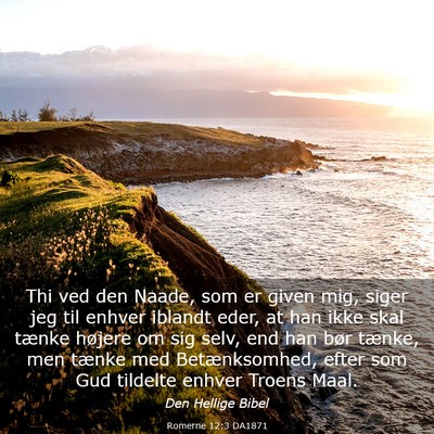 Picture 03 - Romerne 12:3 DA1871 - Thi ved den Naade, som er given mig, siger jeg - Bible Verse Picture