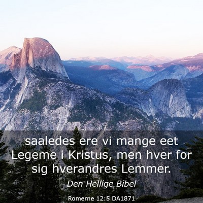 Picture 03 - Romerne 12:5 DA1871 - saaledes ere vi mange eet Legeme i Kristus, men - Bible Verse Picture